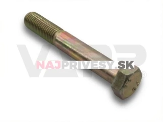 Skrutka so šesťhrannou hlavou M16x110, 8.8, zng,